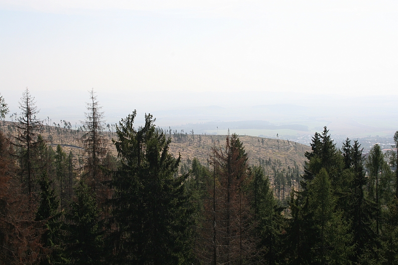 slawkowskiszczyt09.2008 012